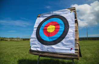 Picture of 3D Deer Archery Target